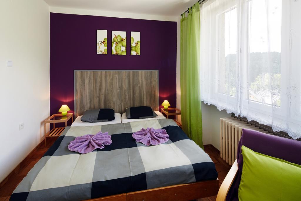 Pension U slunce Janské Lázně Chambre photo